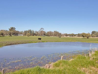 310 Young Road , Baldivis