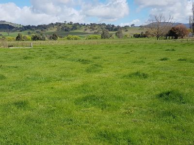 56 Tallangatta Creek Road, Tallangatta Valley