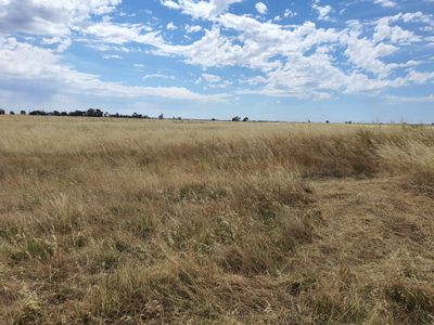 JUNGABURRA ROAD, Terrick Terrick