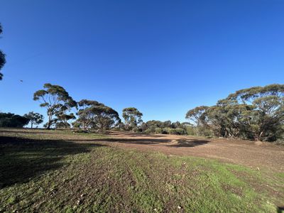 1009 Monarto Road, Monarto