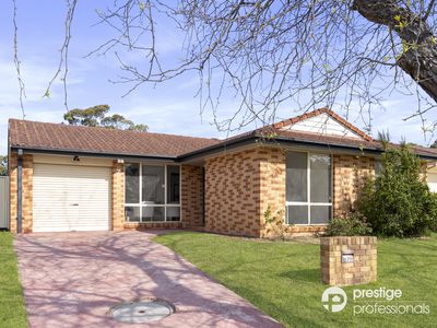 7 Continua Court, Wattle Grove
