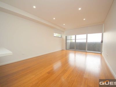 114 / 203 Birdwood Road, Georges Hall