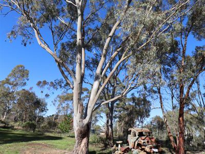 22  Crossley Road, Costerfield