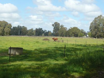 143 Cassidy Lane, Koondrook