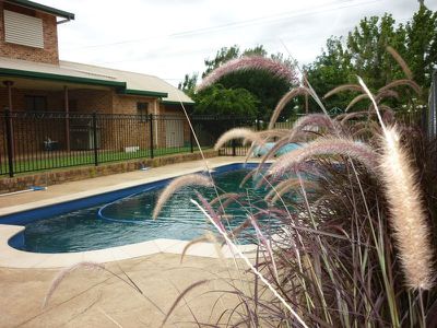53 Crown Street, Dubbo