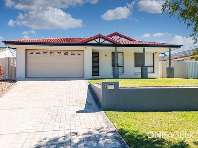 8 Potoroo Place, Doolandella