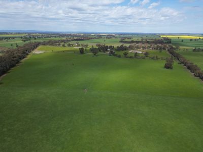 'Burnside' 1009 Howlong-Balldale Road, Balldale