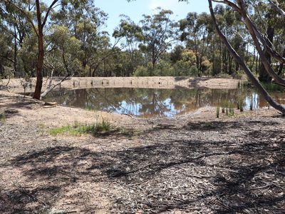 42 Ralstons Lane, Toolleen