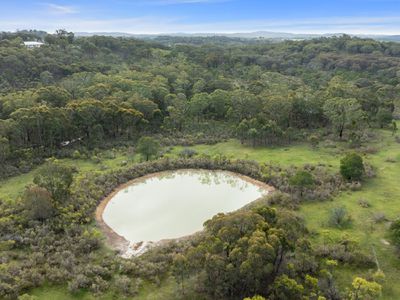 110 Daisyburn Road, Hilldene