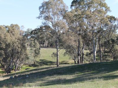 670 Spring Flat Road, Heathcote