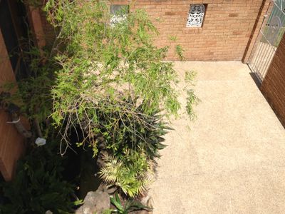 156 Landy Drive, Mount Warrigal