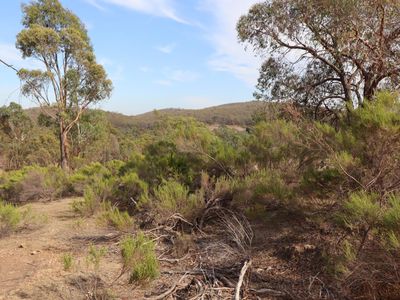 56  Heenans Lane, Heathcote