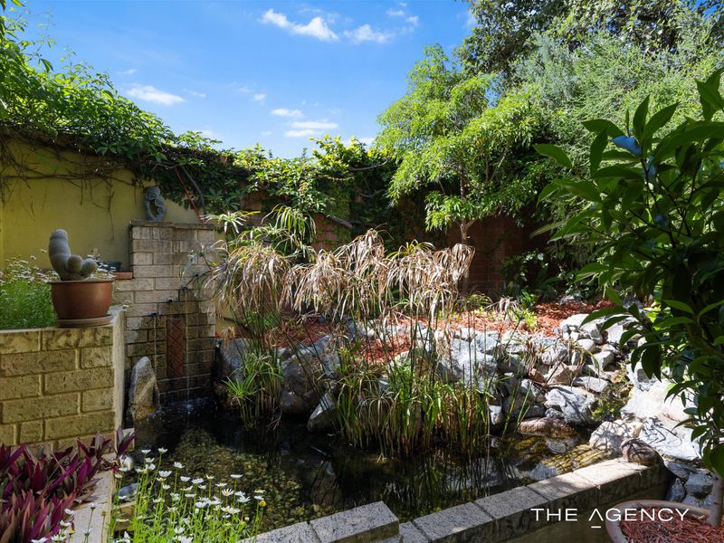 59 Curven Road, Hamilton Hill