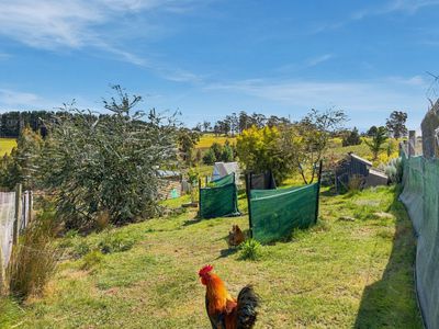 330 Sugarloaf Road, Carlton River