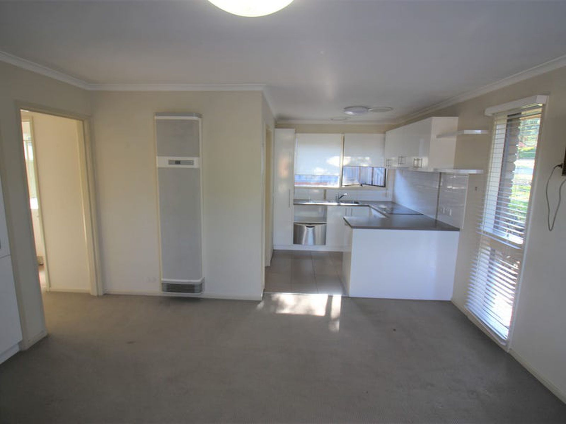 2 / 1 Holyrood Avenue, Newtown