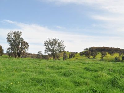 412 Vokins Creek Road, Little Billabong