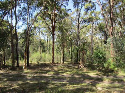 53 Biddulph Street, Eraring