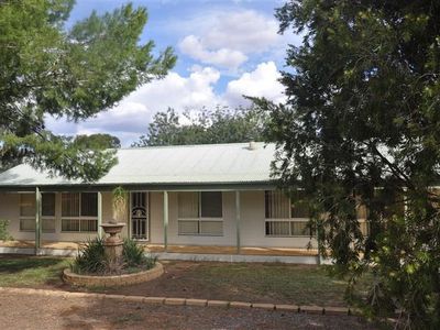 7-11 Windsor Street, Forbes
