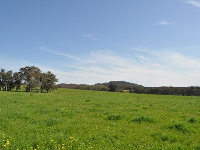412 Vokins Creek Road, Little Billabong