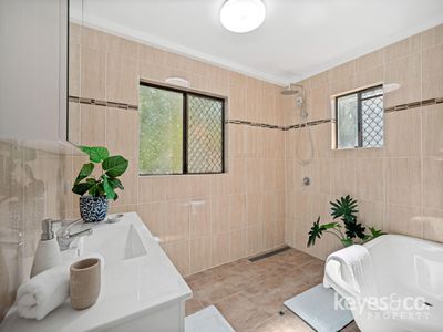 24 Alligator Creek Road, Alligator Creek