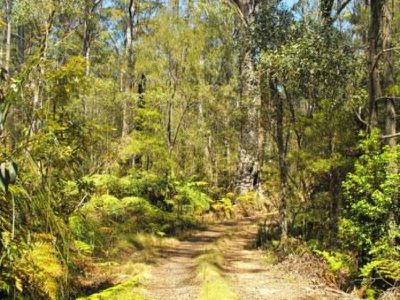 Grafton Road, Glen Elgin