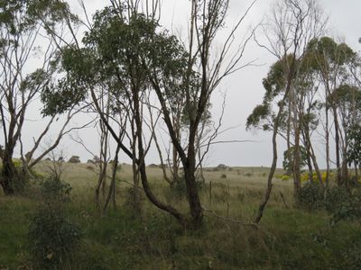 Lot 5, Old St Arnaud Road, Berrimal