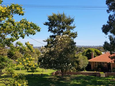 14 Wooramel Way, Nollamara