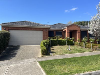 13 Pethajohn Parade, Grovedale