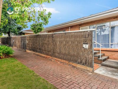 3 / 38 Collingwood Avenue, Hazelwood Park