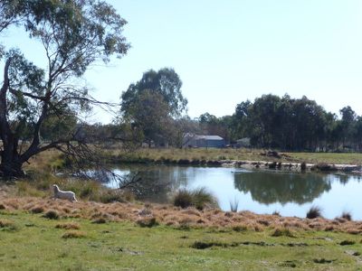 Beechworth-Chiltern Road, Chiltern