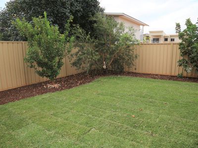 64 Kurra Street, Newman