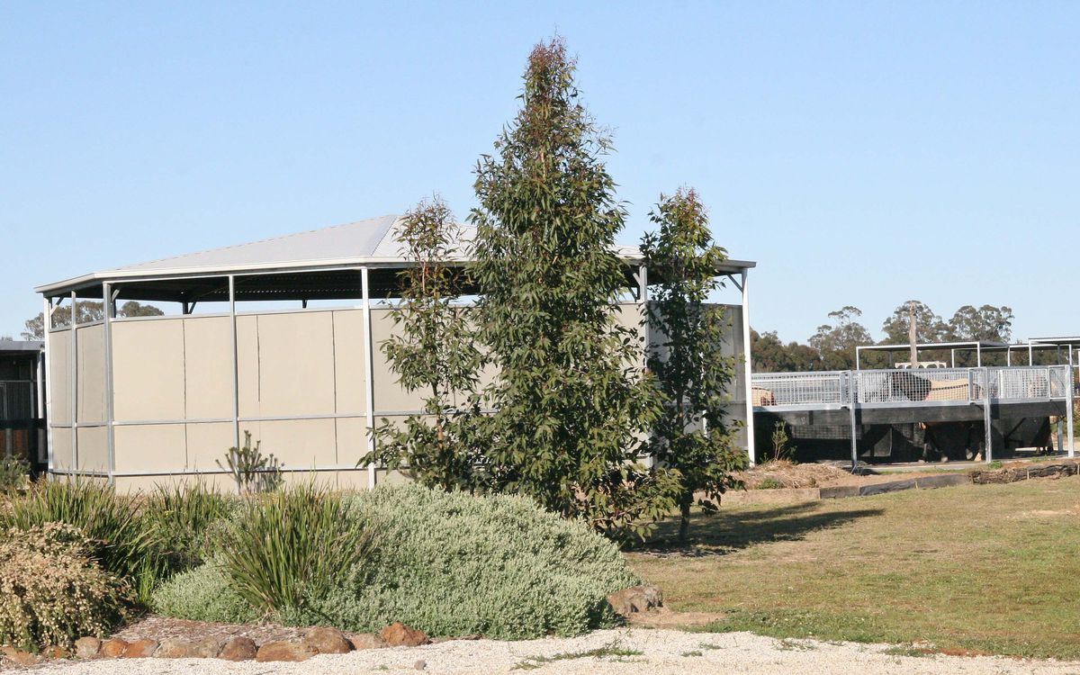 gallery