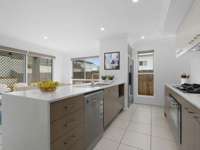 4 Falcon Circuit, Springfield Lakes