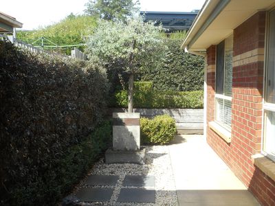 14B Winbirra Parade, Ashwood