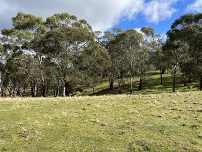 Lot 34, 6875 Taralga Road, Taralga