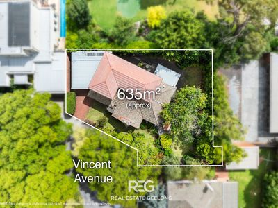 13 Vincent Avenue, Geelong