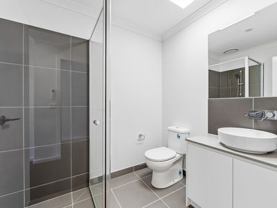 6 Filly Walk , Fraser Rise