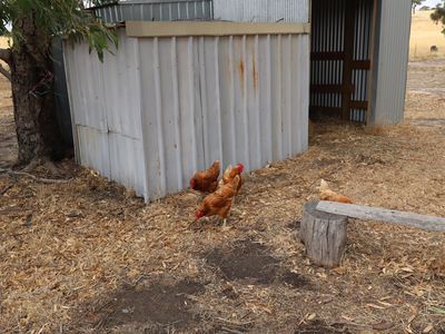 575 Hardings Lane, Tooborac