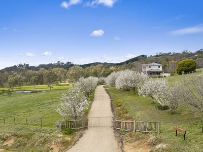 245 Banumum Road, Mansfield