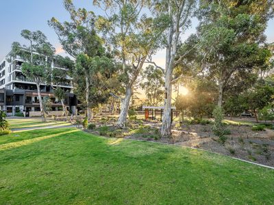 212 / 3 Banksia Street, Glenside