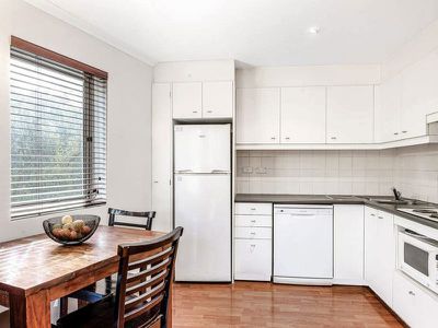95 / 92-120 Cleveland Street, Chippendale