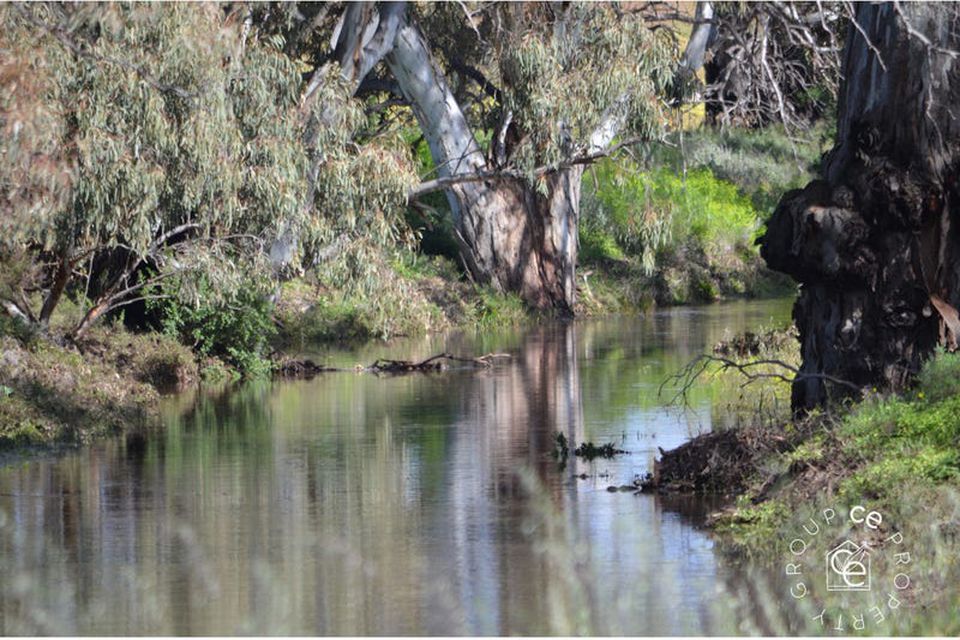 Angas Valley