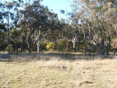 Lot 19 Silent Grove, Torrington