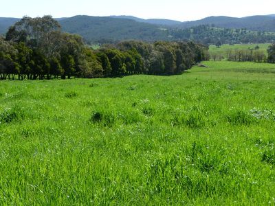 Jewell Road, Berringama