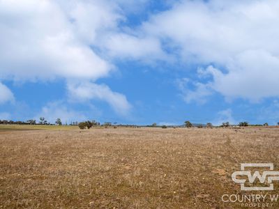 Lot Plain View South, 916 Emmaville Road, Glen Innes