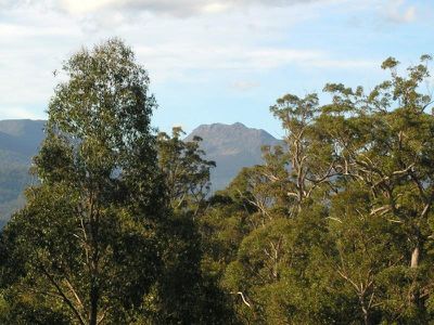 47 Allens Road, Grove