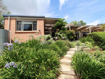 42 Napier Street, Windradyne