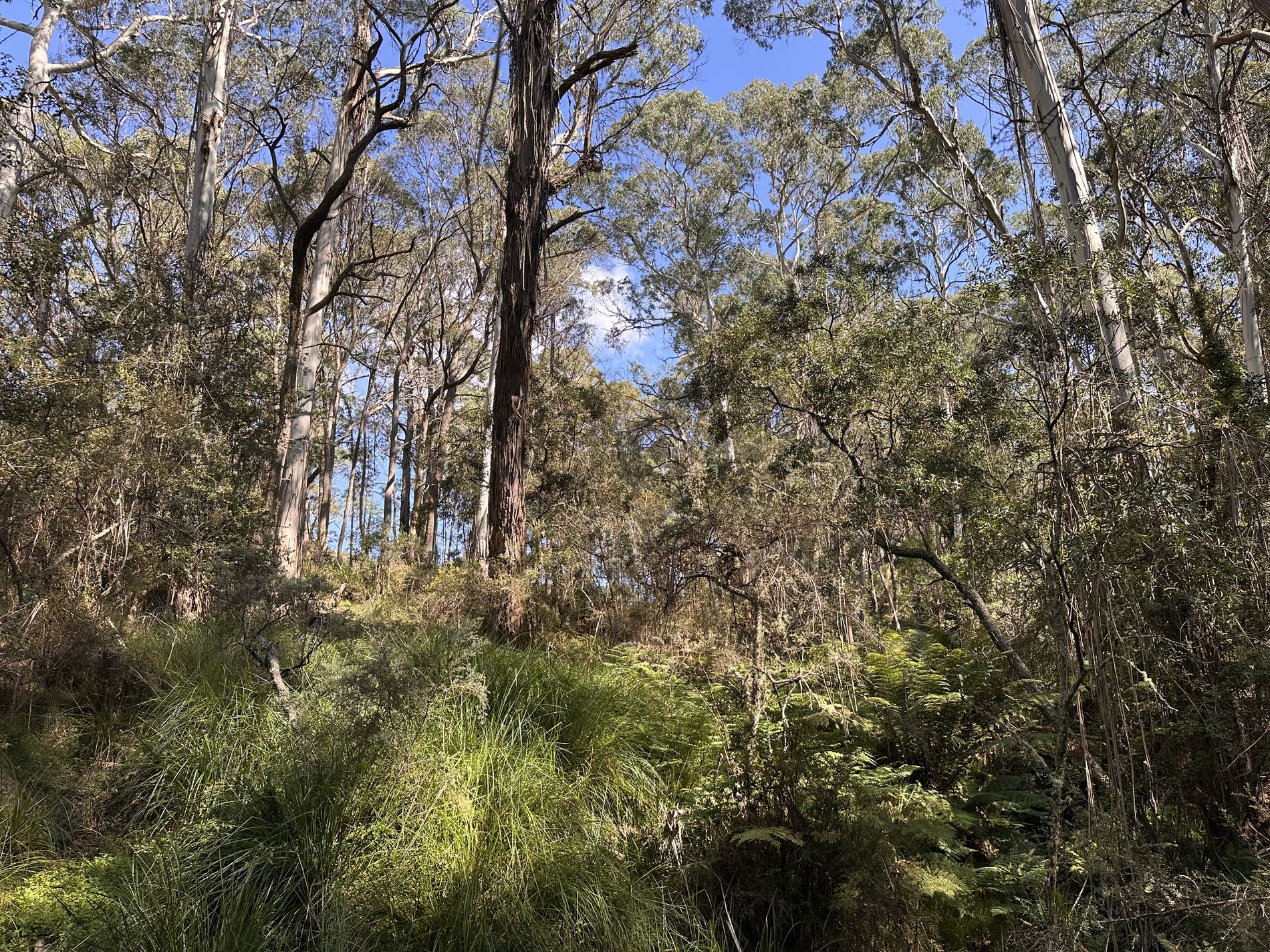 124 Gumms Road, Harolds Cross