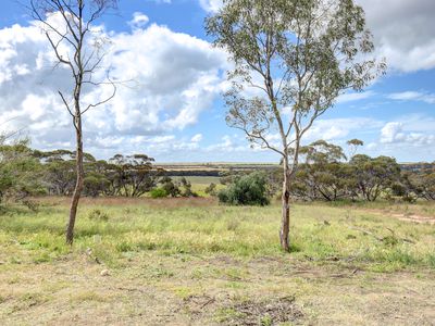 1439 Bowhill Road, Ettrick