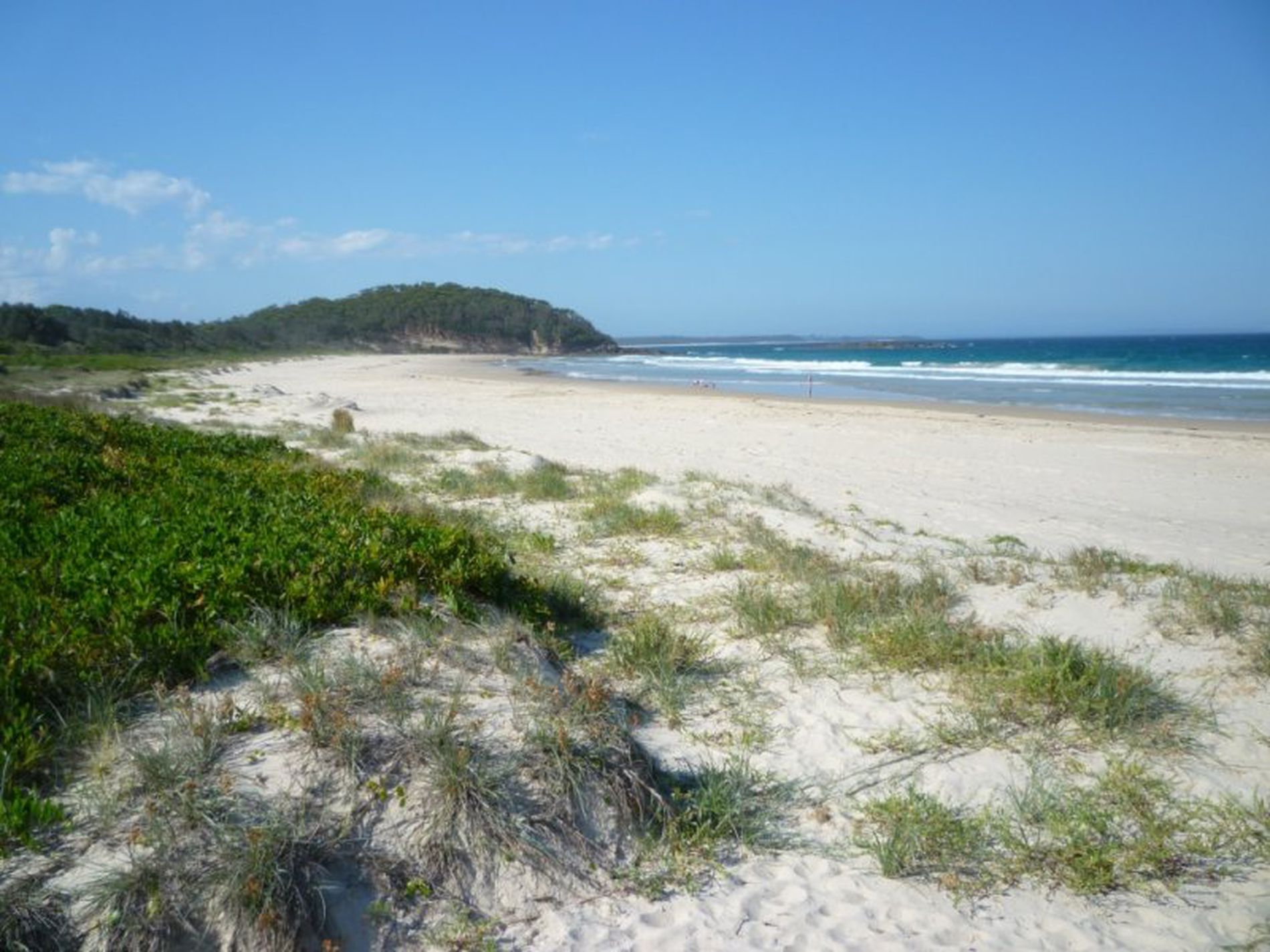 57 Matron Porter Drive, Narrawallee